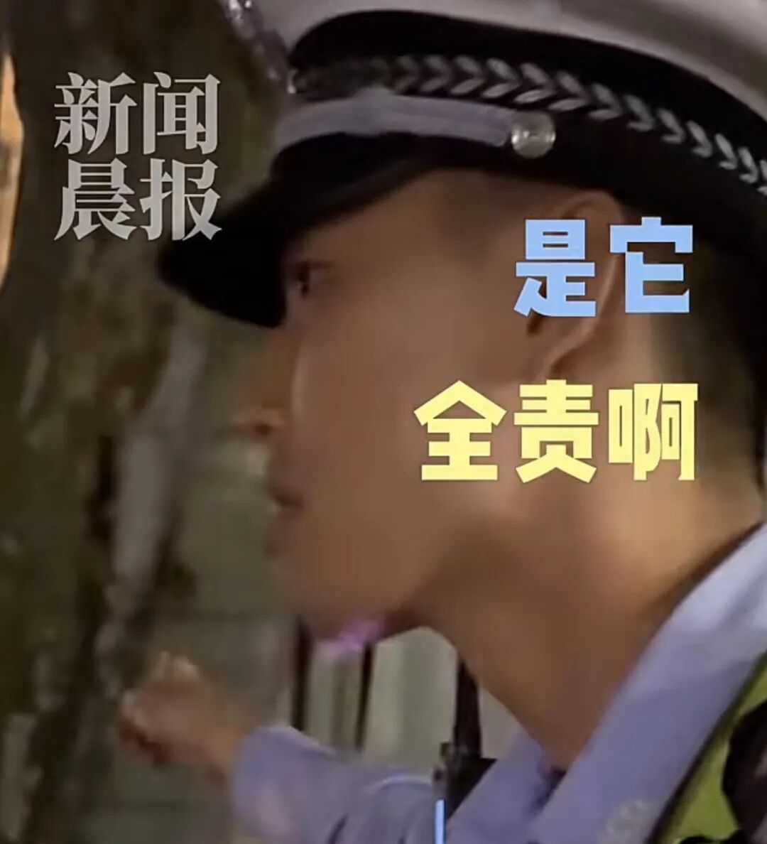 “树全责！”上海一司机撞树喊冤：这棵树长太歪！交警一句话点醒众人