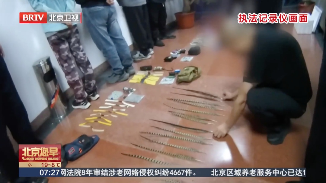 北京警方：见到这种笼子，立即举报！