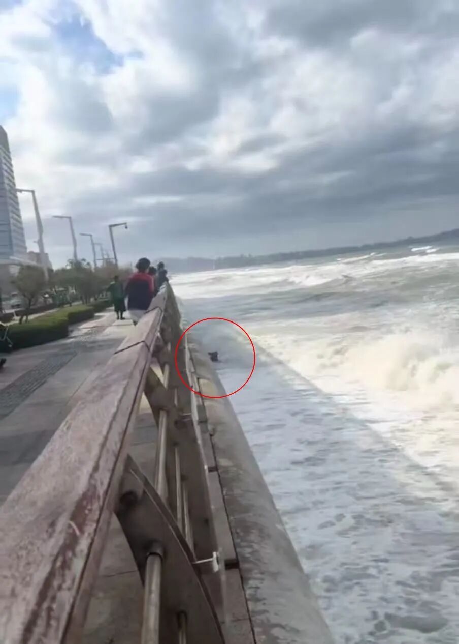 山东烟台一老人被困海浪中，多名路人接力救援，老人遗憾离世，家属私信感谢救人者义举
