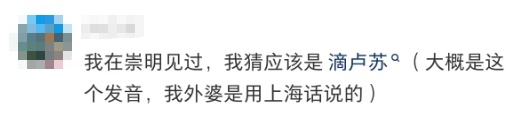 网友疑惑：起猛了！我看到有上海人在啃竹子？评论区集体回忆：阿拉从小吃到大！