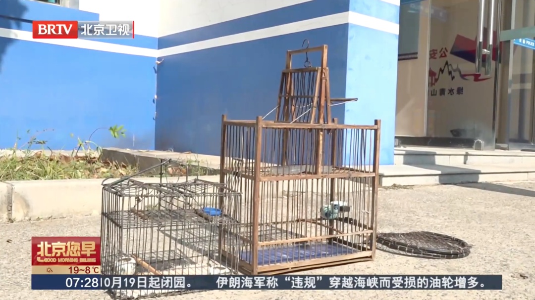 北京警方：见到这种笼子，立即举报！