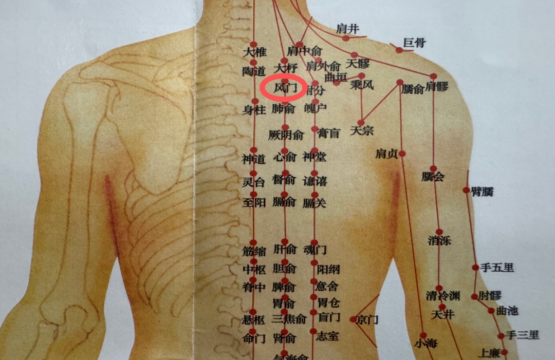 深秋凉燥至,按揉三穴,宣肺、滋肾、御风寒! 深秋凉燥至,按揉三穴,宣肺、滋肾、御风寒!