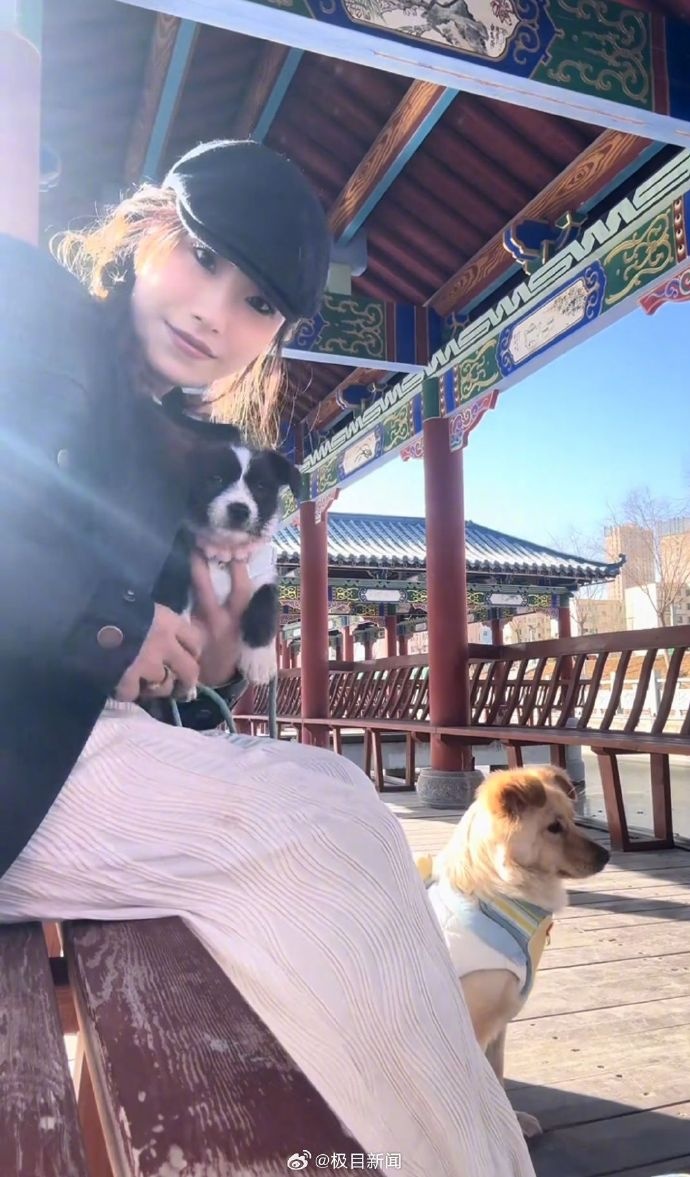27岁女博主病逝!多次救助动物! 27岁女博主病逝!多次救助动物!