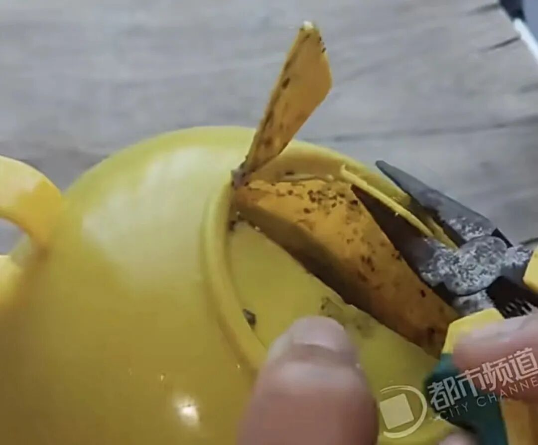 崩溃!拆开后看得人头皮发麻,宝妈曝光家中这款用品,很多家庭都有同款→ 崩溃!拆开后看得人头皮发麻,宝妈曝光家中这款用品,很多家庭都有同款→