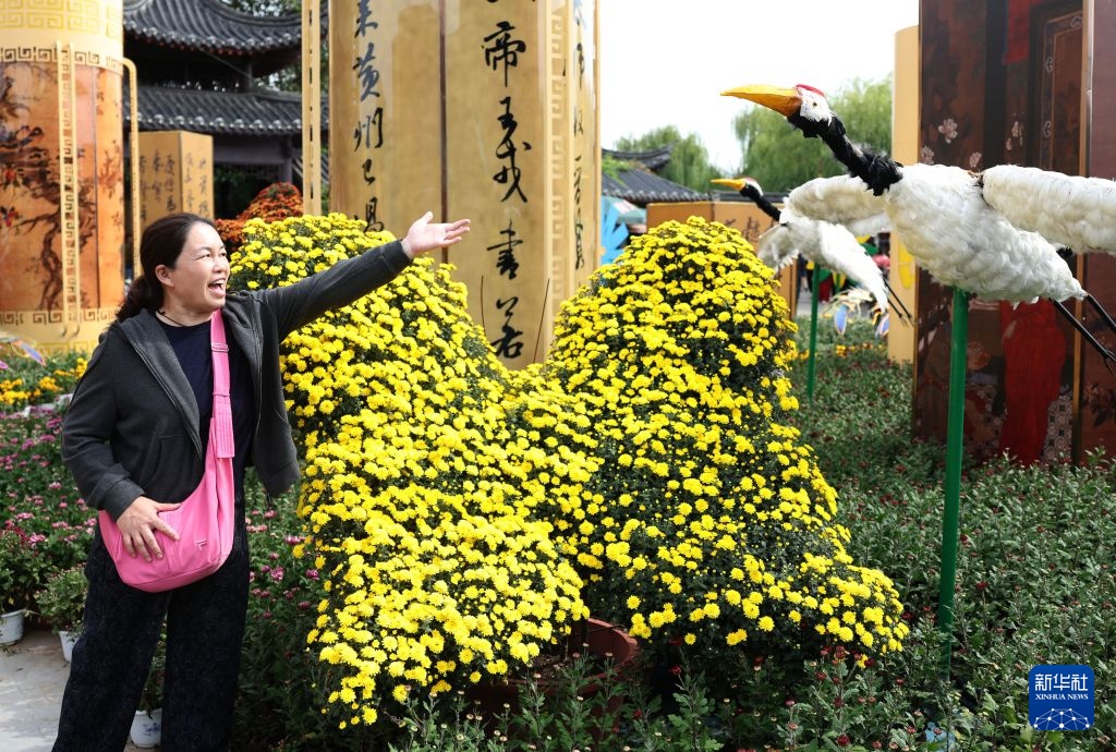 开封第44届菊花文化节开幕