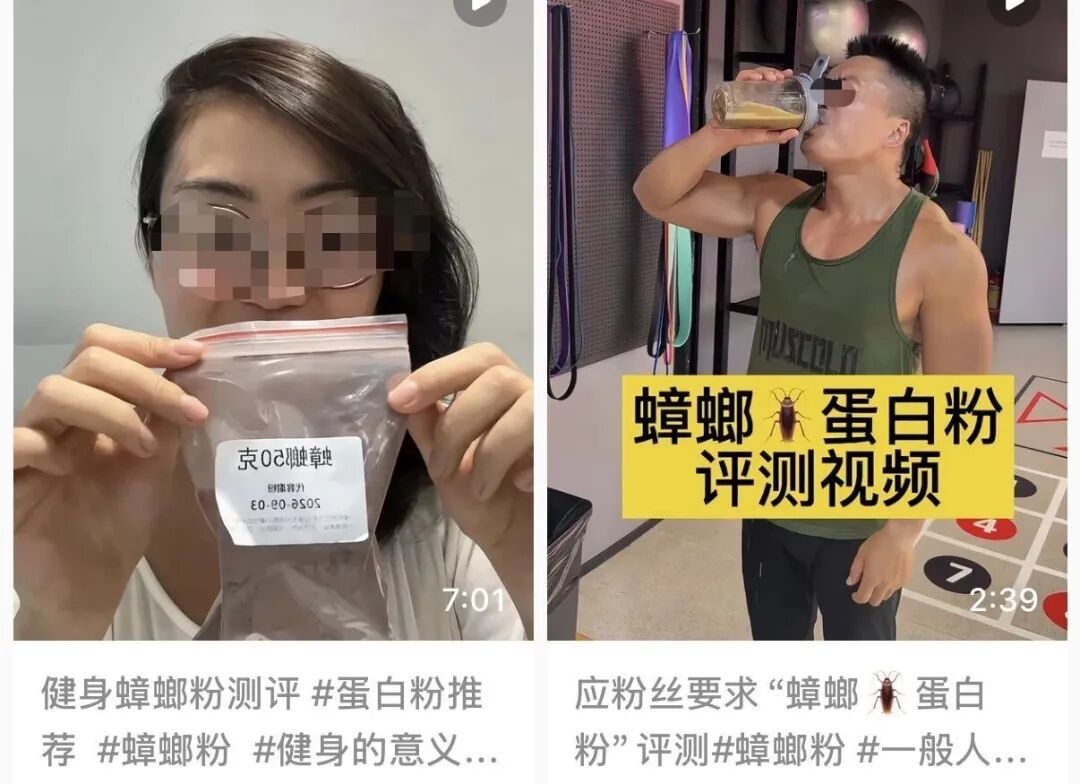 “蟑螂粉平替蛋白粉”上热搜！到底靠谱吗？医生：利用率较低