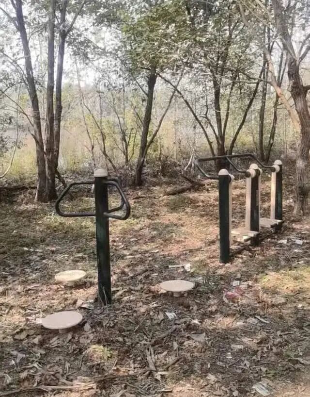官方通报“在荒郊野地安装健身器材”