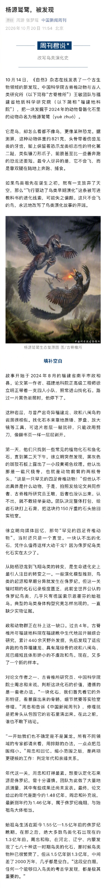 中国发现侏罗纪晚期不会飞的鸟 中国发现侏罗纪晚期不会飞的鸟