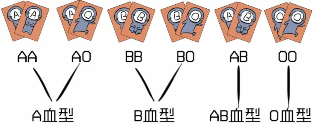 “爸爸AB型妈妈A型女儿O型”登上热搜,这些情况可能生出血型“不匹配”的孩子→ “爸爸AB型妈妈A型女儿O型”登上热搜,这些情况可能生出血型“不匹配”的孩子→