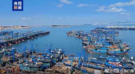 防御台风“蔷琵” 福建提前撤离海上渔船和人员 防御台风“蔷琵” 福建提前撤离海上渔船和人员