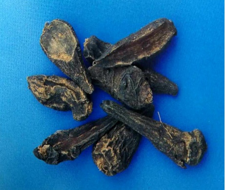 有人用来“进补”,但3毫克可致死!近期高发! 有人用来“进补”,但3毫克可致死!近期高发!
