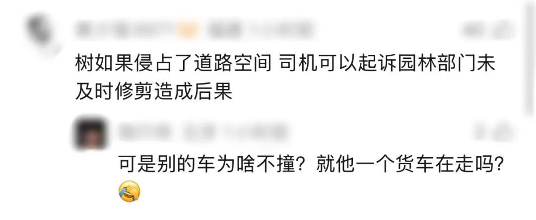 “树全责！”男子驾车撞树喊冤：这棵树长太歪！交警怎么判？