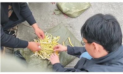 存在硫磺熏制鲜竹笋出售情况？四川古蔺、马边通报