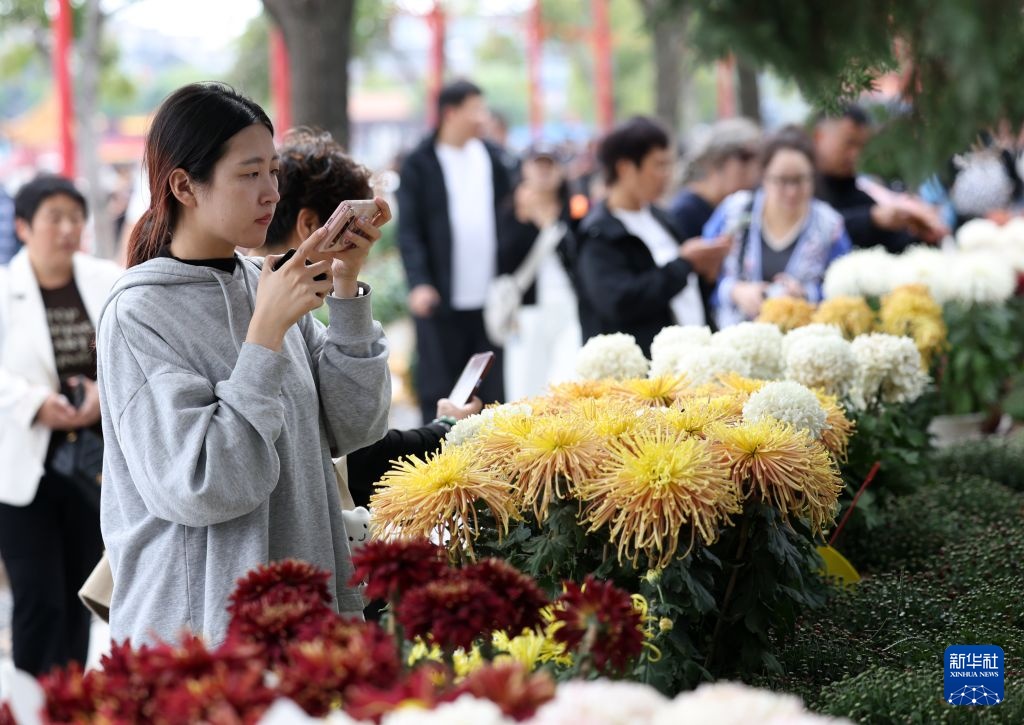 开封第44届菊花文化节开幕