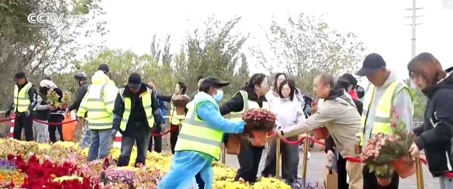 美景长效惠民 装点街巷的节日美景从公共景观走进千家万户 美景长效惠民 装点街巷的节日美景从公共景观走进千家万户