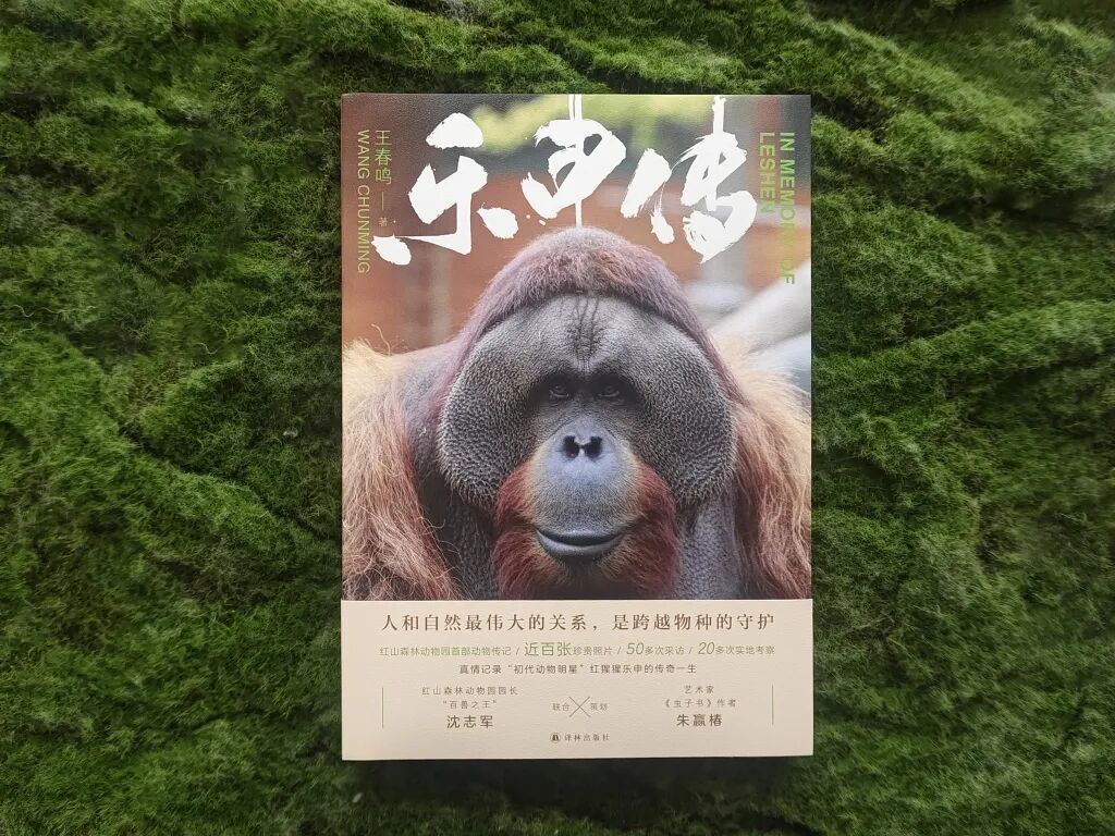 乐申想返回的,不是空间上的故土,而是时间里的故乡 乐申想返回的,不是空间上的故土,而是时间里的故乡