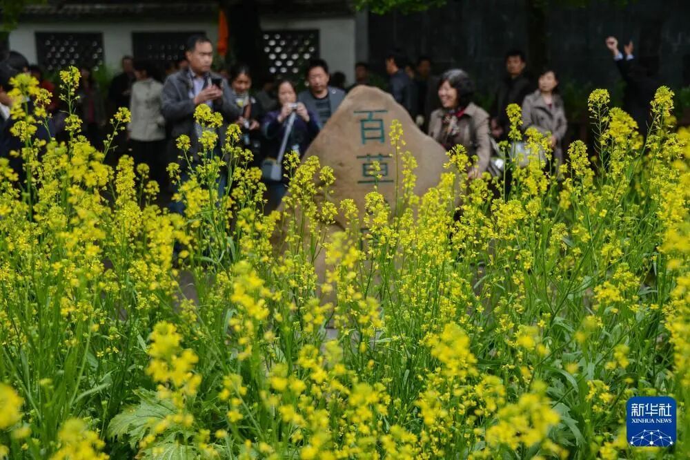 鲁迅逝世90年,他的哪句话仍然打动你? 鲁迅逝世90年,他的哪句话仍然打动你?