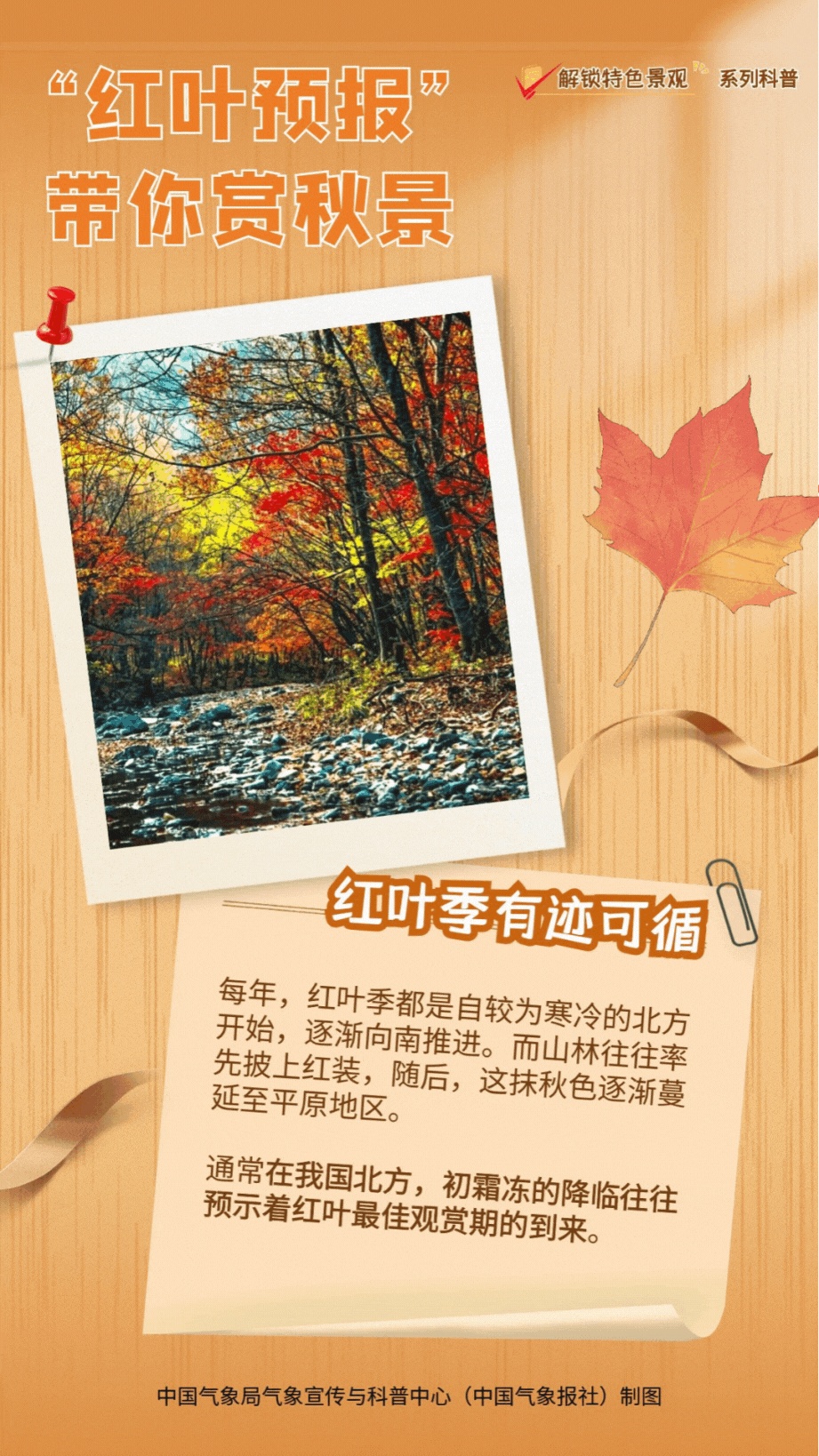 降温了秋叶就变红?没那么简单! 降温了秋叶就变红?没那么简单!
