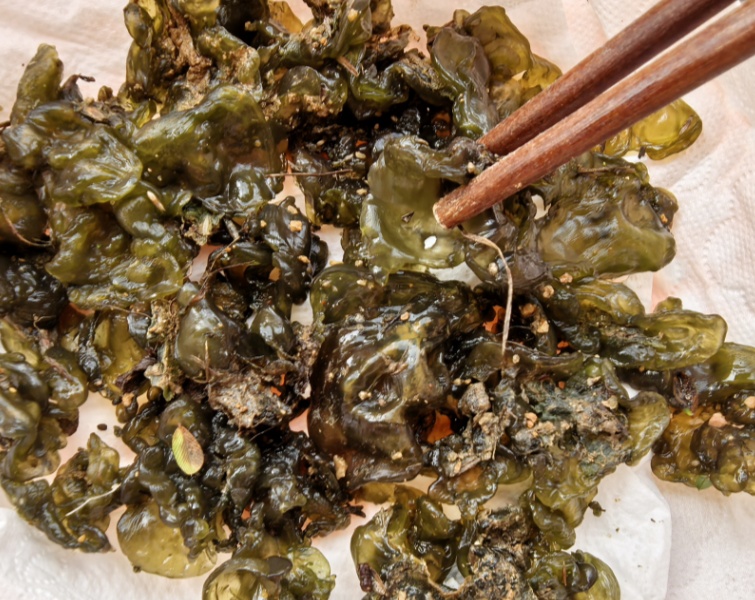 雨后大量出现！很多合肥人爱尝鲜！专家发出提醒
