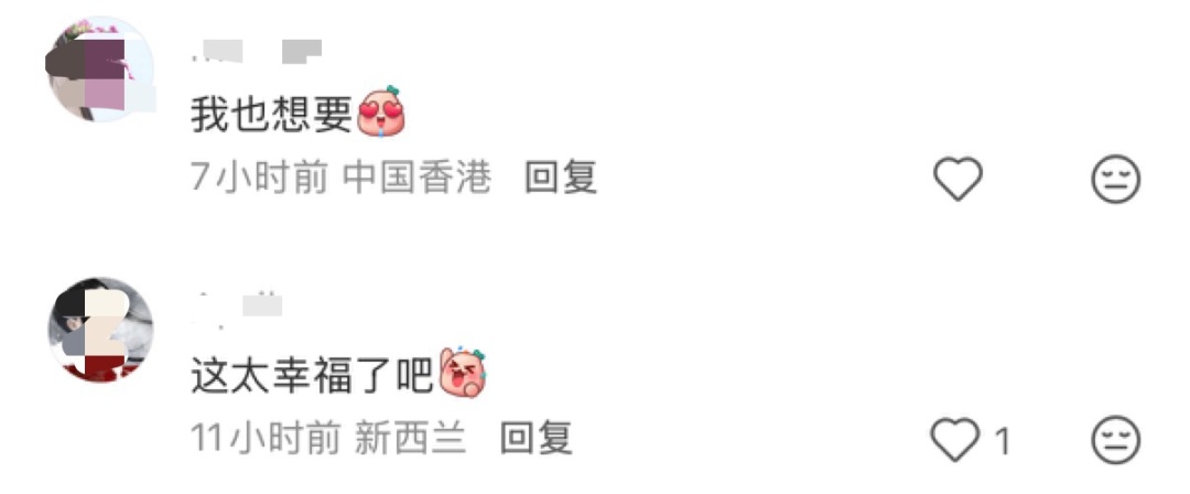 网友晒出领回家的小菊:“国庆退役花领养成功!!” 网友晒出领回家的小菊:“国庆退役花领养成功!!”