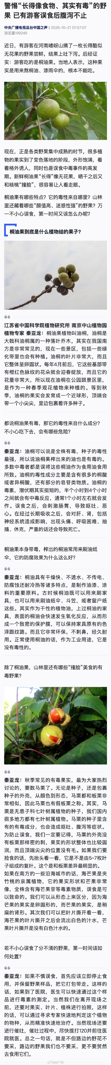 警惕长得像食物其实有毒的野果 警惕长得像食物其实有毒的野果