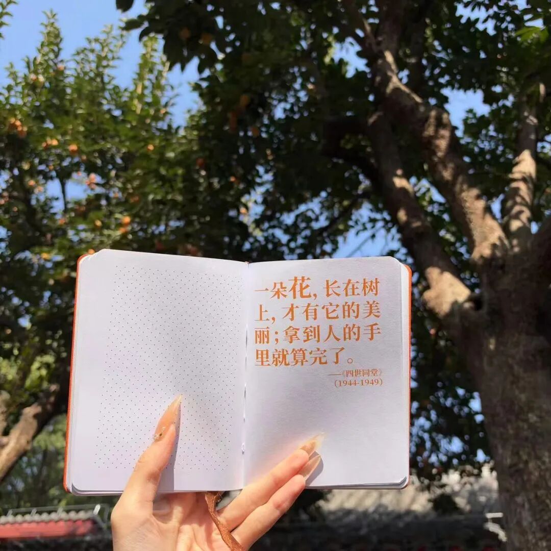 北京这个小院赏柿季人气高涨!记得提前预约—— 北京这个小院赏柿季人气高涨!记得提前预约——