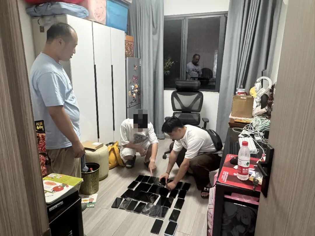 用外挂“秒抢”限量款盲盒，非法获利500余万元！25人涉案被抓，上海警方披露详情