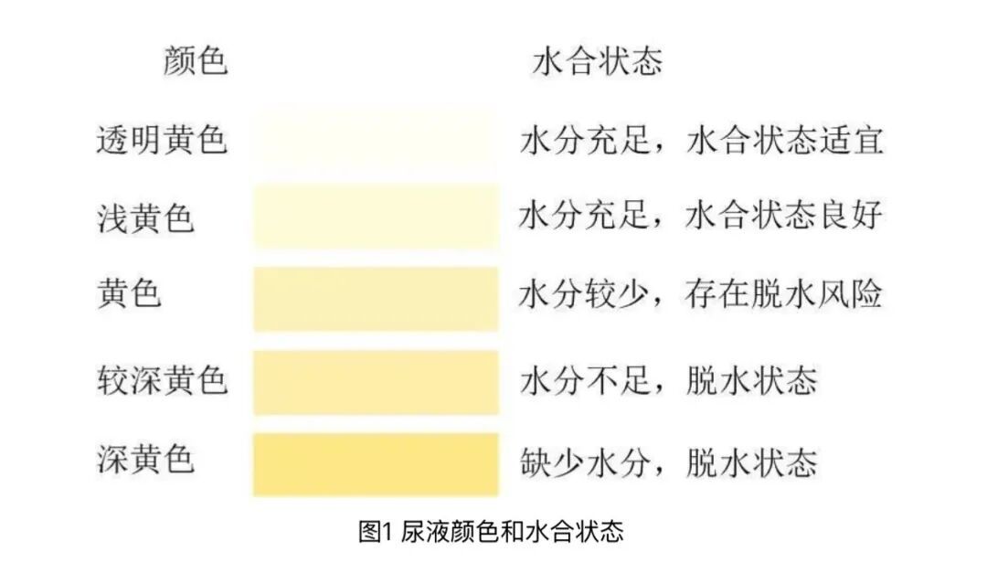 “喝大水”火了，疾控部门提醒：水喝多了，真会“中毒”