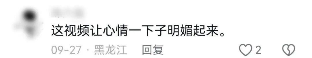 用旧笔和废弃餐盘画牡丹，日照又一大爷火了！“能拿得动笔，我就会一直画”
