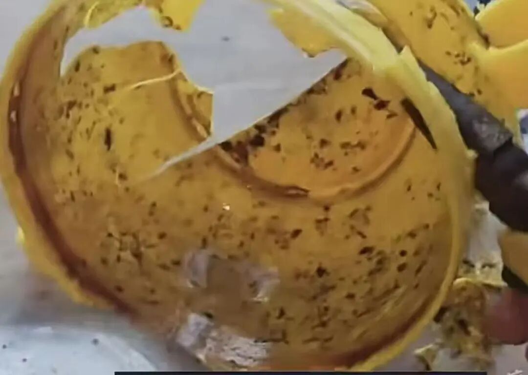 崩溃！拆开后看得人头皮发麻，曝光家中这款碗