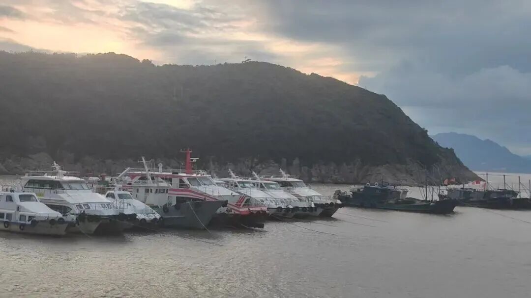 “蔷琵”已进入福建台风警戒区！沿海56条客渡运航线停运