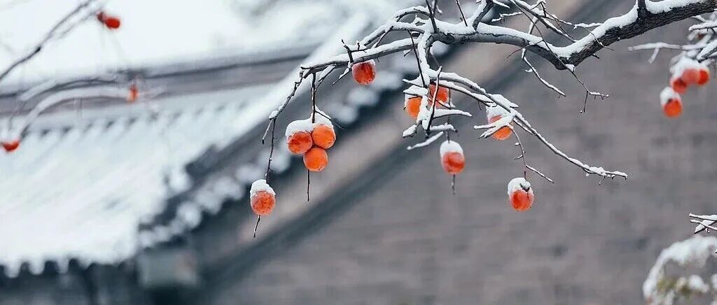 中雨+大雨+雨夹雪或小雪！河北雨雪天气上线，未来三天……
