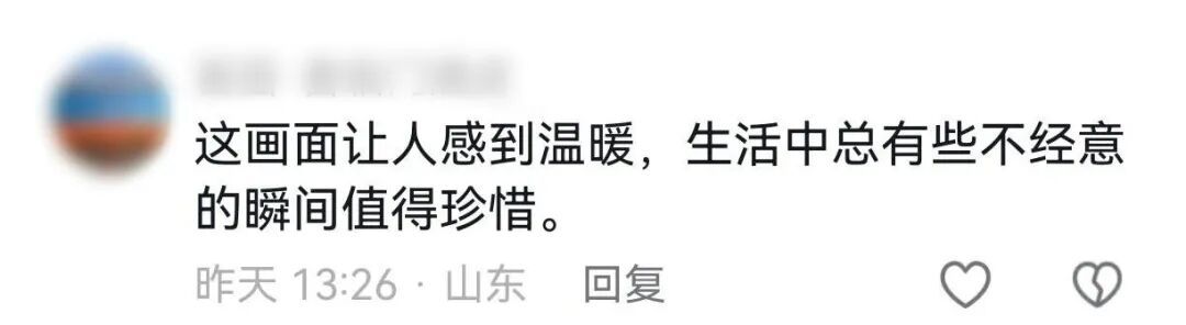 用旧笔和废弃餐盘画牡丹，日照又一大爷火了！“能拿得动笔，我就会一直画”