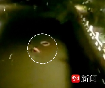 常州“00后”辅警10米高桥跳下河救人，赤裸上身光脚一瘸一拐走回派出所让人心疼