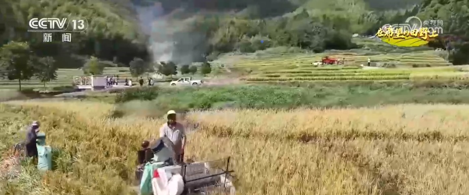 小型农机显身手为山区秋收按下“快进键” 智慧新农具助力全链条节粮减损