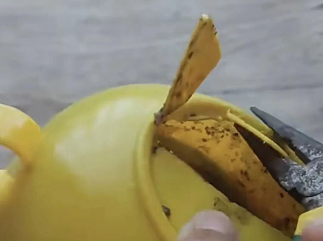 崩溃！拆开后看得人头皮发麻，曝光家中这款碗