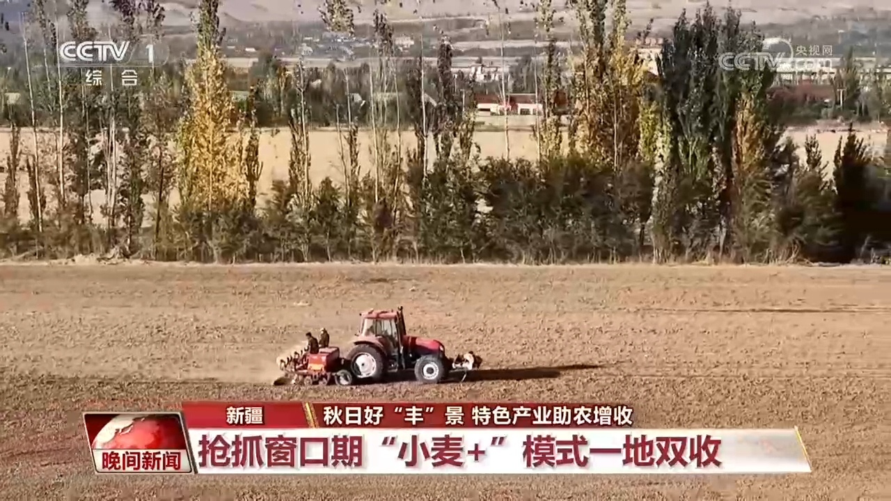 全国秋粮大面积收获进行时!各地特色产业助农增收 全国秋粮大面积收获进行时!各地特色产业助农增收