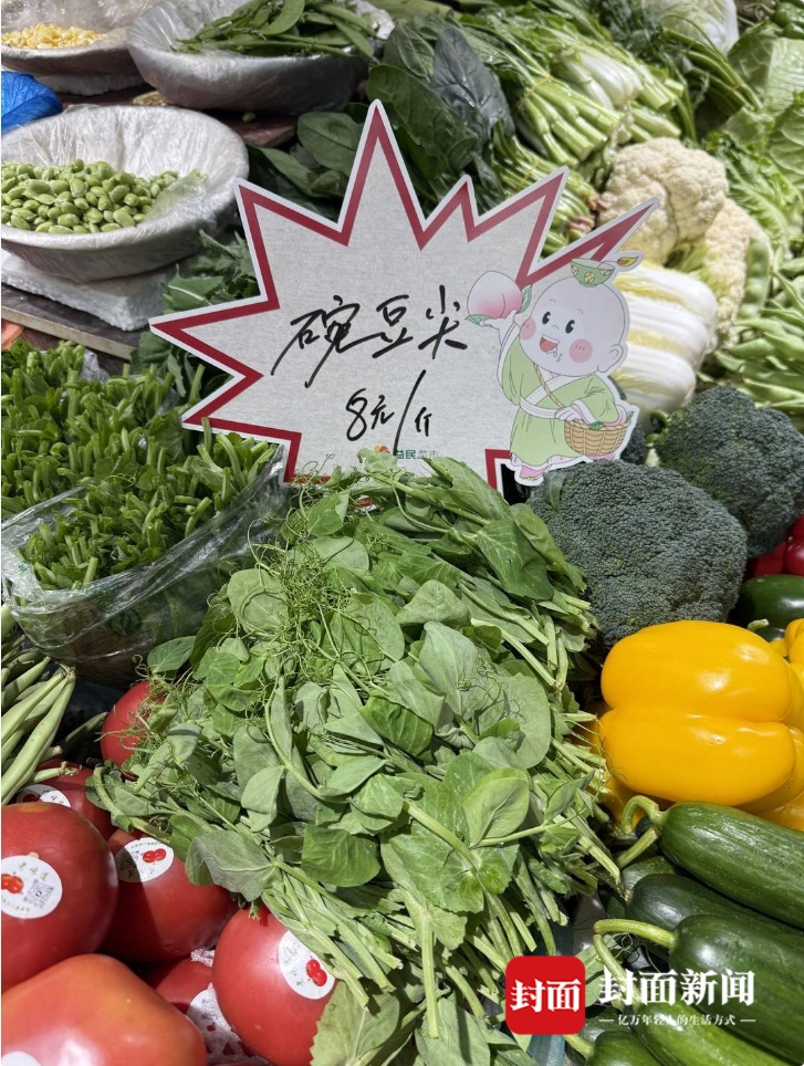 成都本地豌豆尖上市，“蔬菜顶流”价格回落至每斤8元左右，下月底还要降