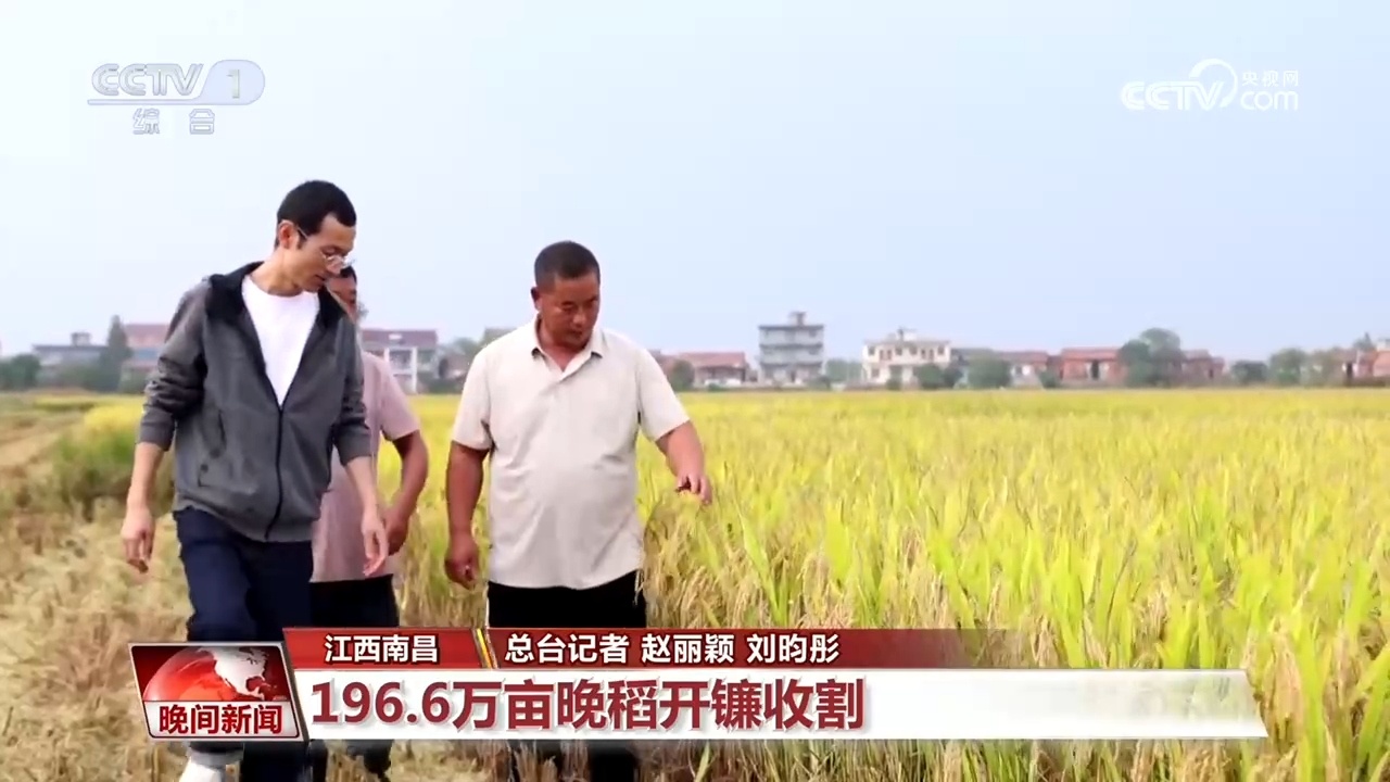 全国秋粮大面积收获进行时!各地特色产业助农增收 全国秋粮大面积收获进行时!各地特色产业助农增收