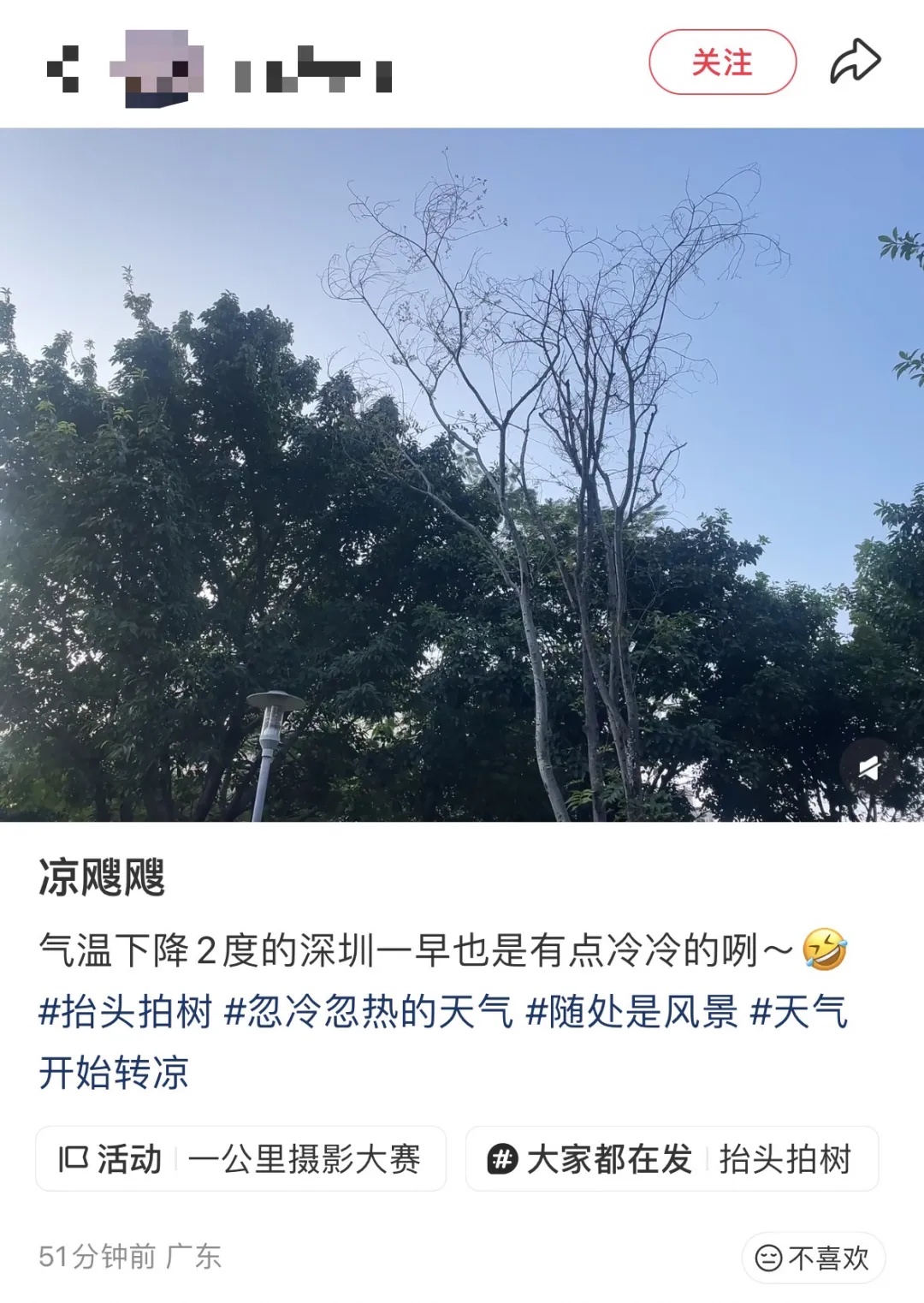 弱冷空气已到广东！不少人说“被冷醒”，广东最高降了4℃