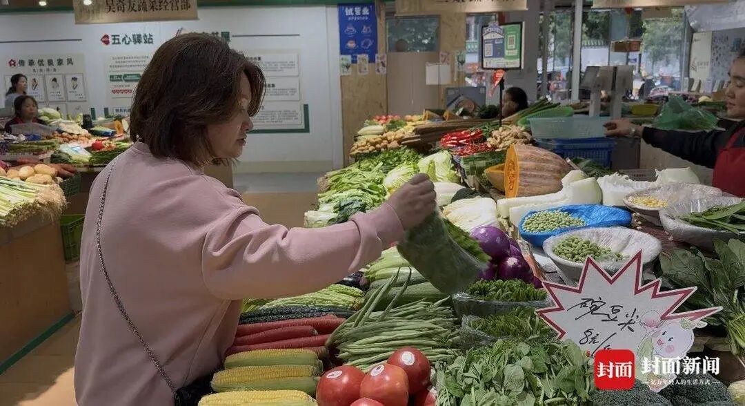 成都本地豌豆尖上市，“蔬菜顶流”价格回落至每斤8元左右，下月底还要降