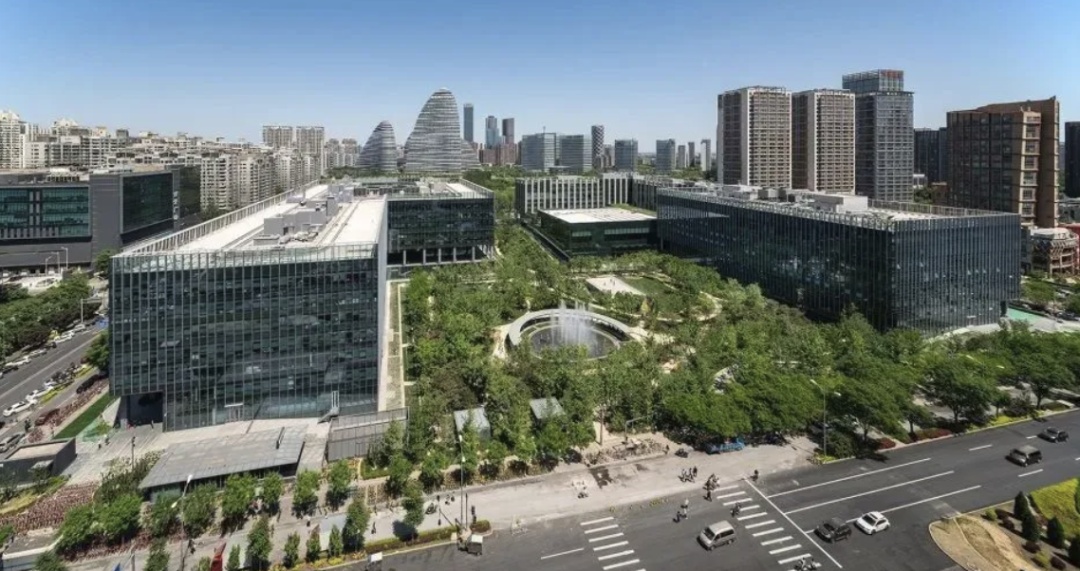 北京一大厦楼前，陆续躺了31只鸟类尸体，包括国家二级保护动物！