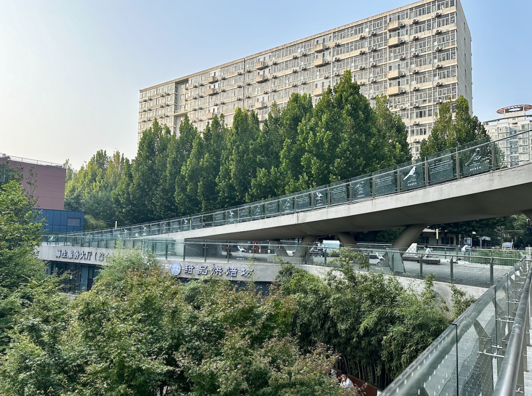 北京一大厦楼前，陆续躺了31只鸟类尸体，包括国家二级保护动物！