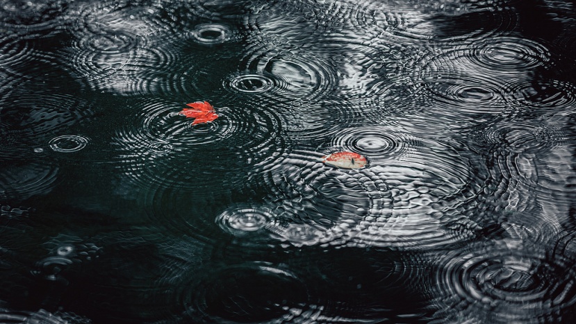 今年北京或提前入冬!周末降雨冷空气到 今年北京或提前入冬!周末降雨冷空气到