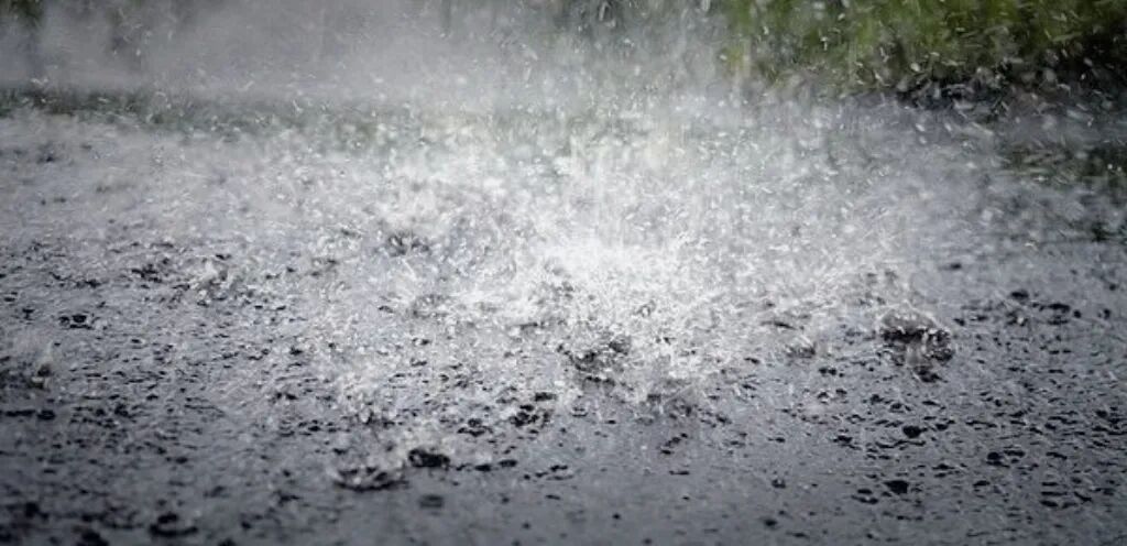暴雨！台风“蔷琵”马上影响上海！浦东、虹桥等29座机场或将受扰，三部门对申城启动应急响应