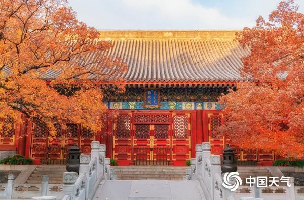 2026全国赏红叶地图发布 十大观赏胜地秋色各异