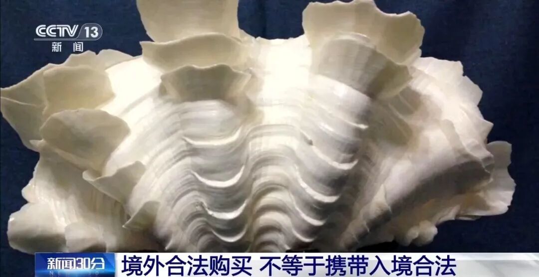 夫妻携242枚商周至民国时期钱币出国，想送给定居国外的子女，被海关查扣