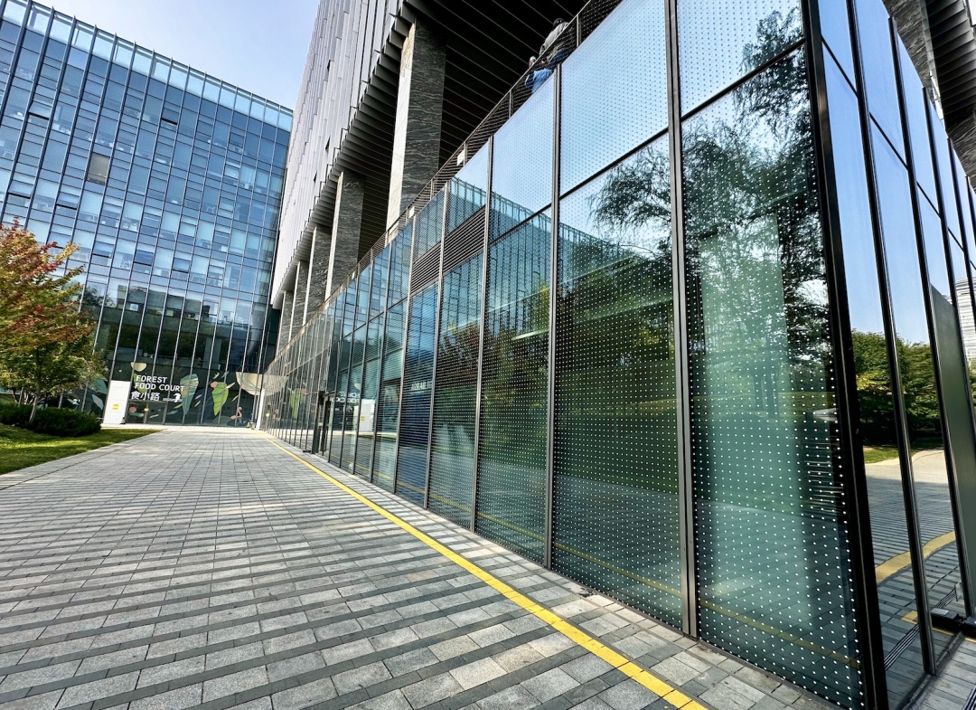 北京一大厦楼前，陆续躺了31只鸟类尸体，包括国家二级保护动物！