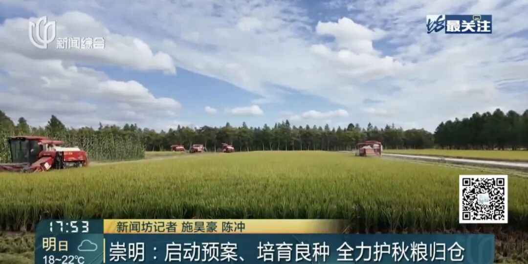 超强台风“蔷琵”马上影响上海，今天傍晚起有暴雨！浦东、虹桥等29座机场或将受扰
