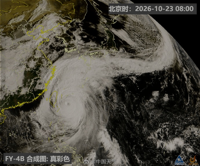 台风蔷琵突然大拐弯,已长出"头发"！上海暴雨大风预警,将出现短时强降水！大桥高速限速，列车部分停运️